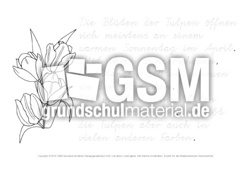 Tulpe-Abschreibtexte-nachspuren-VA 3.pdf